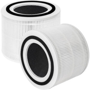 Monthly Subscription Package - Set of 2 Replacement Air Filters