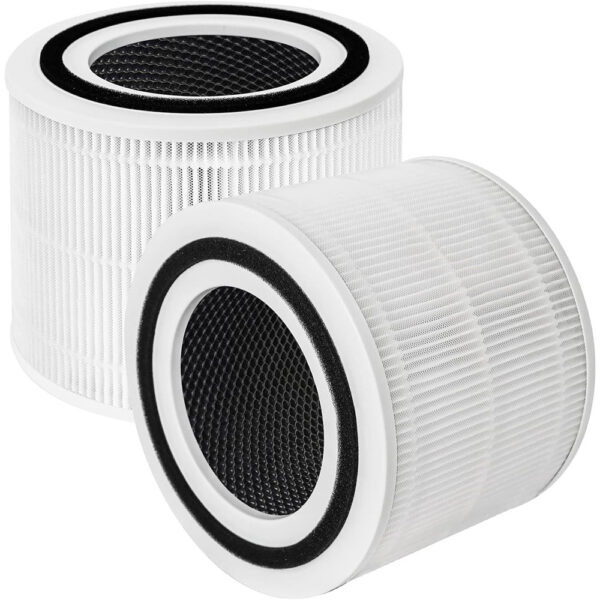 Monthly Subscription Package - Set of 2 Replacement Air Filters